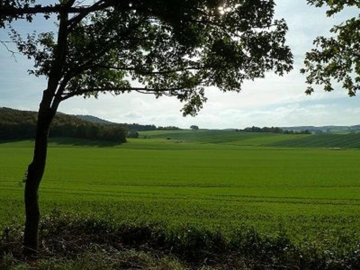 Feriendorf Sulzfeld Vila Sulzfeld  Exterior foto